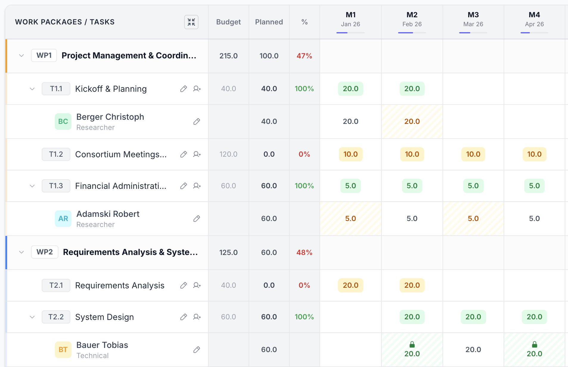 Project planning grid showing work packages, tasks, budgets and monthly distribution